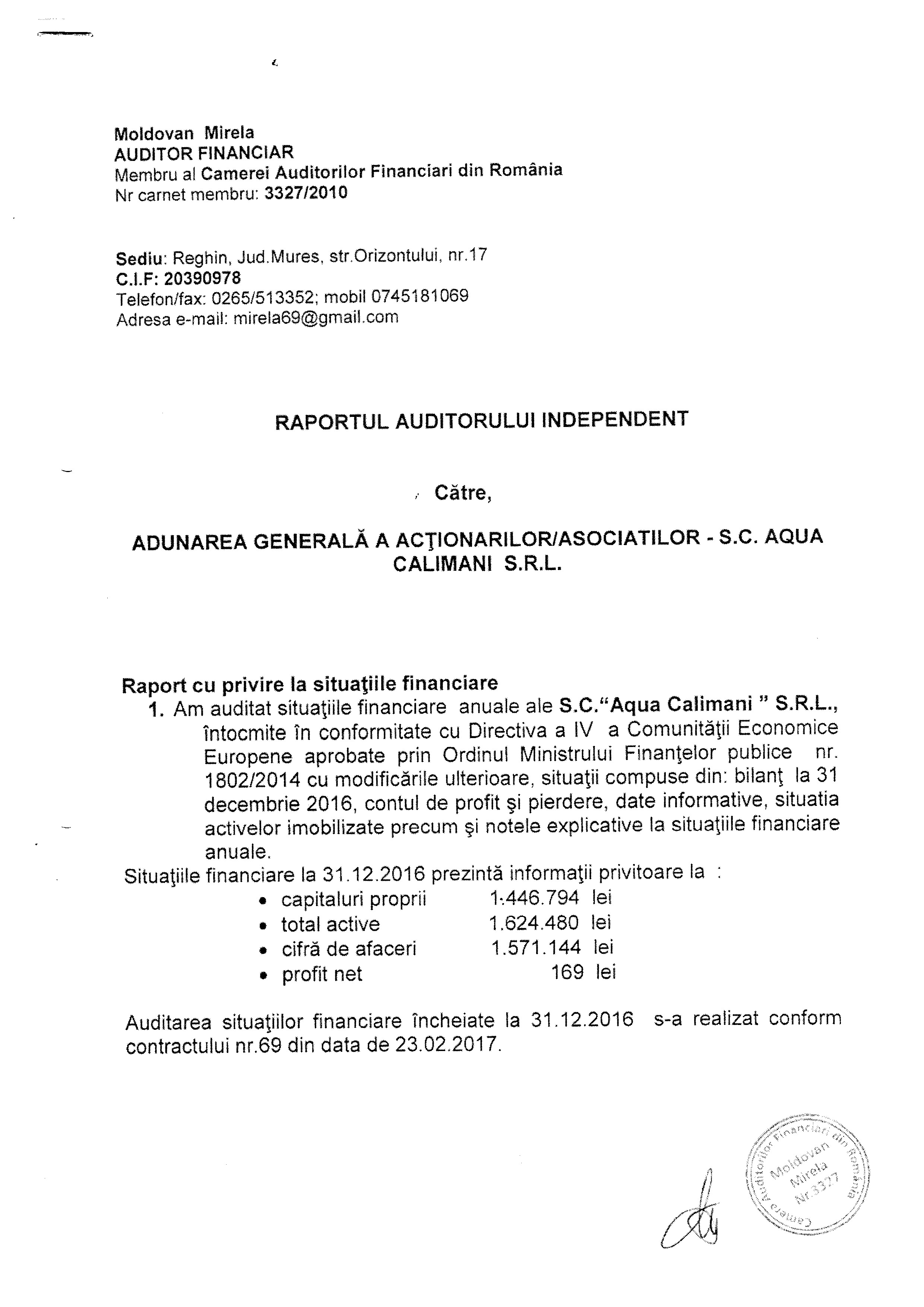 RAPORT AUDIT 1